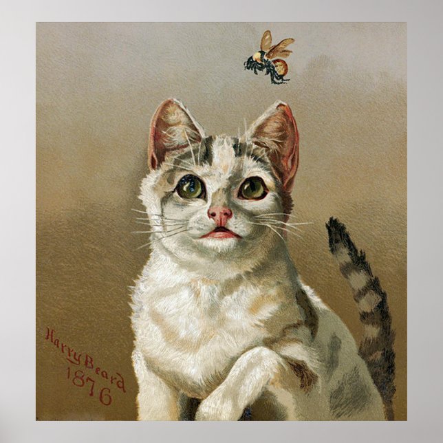 Poster vintage Blanc Chat Avec Abeille Art (Devant)