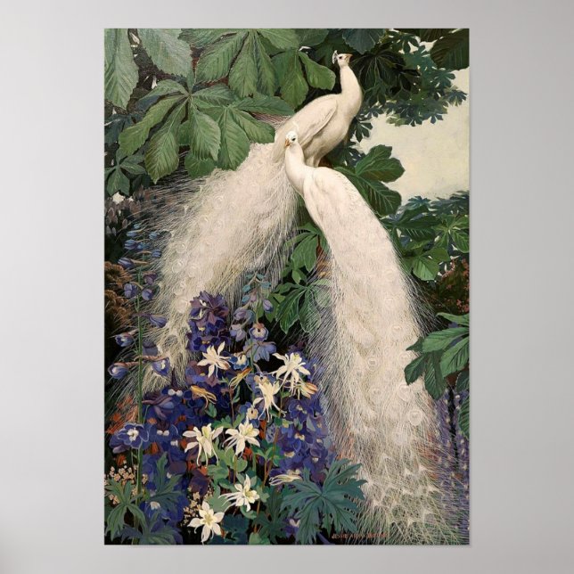 Poster vintage blanc Peacock (Devant)