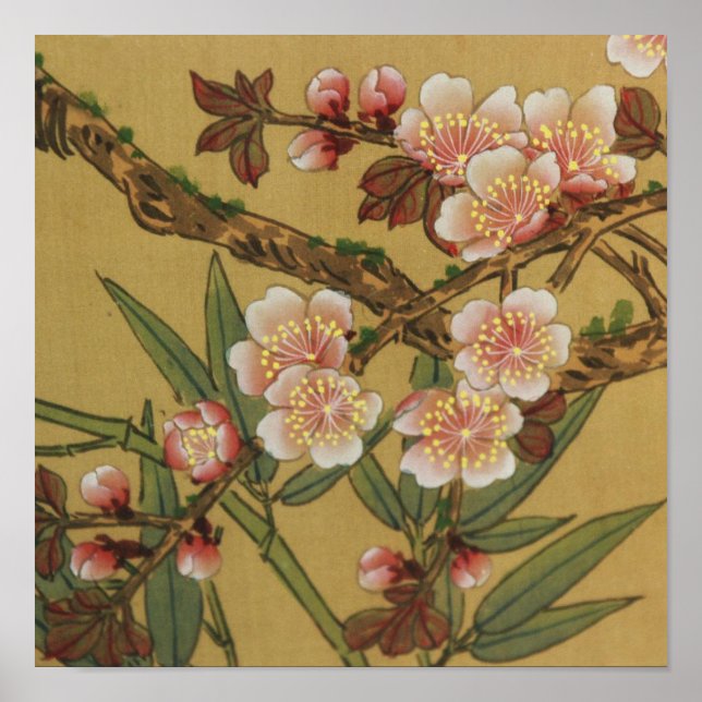 Poster Vintage Cherry Blossoms Asian Japanese Flowers (Devant)
