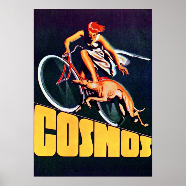 Poster vintage Cosmos Bicycle (Devant)