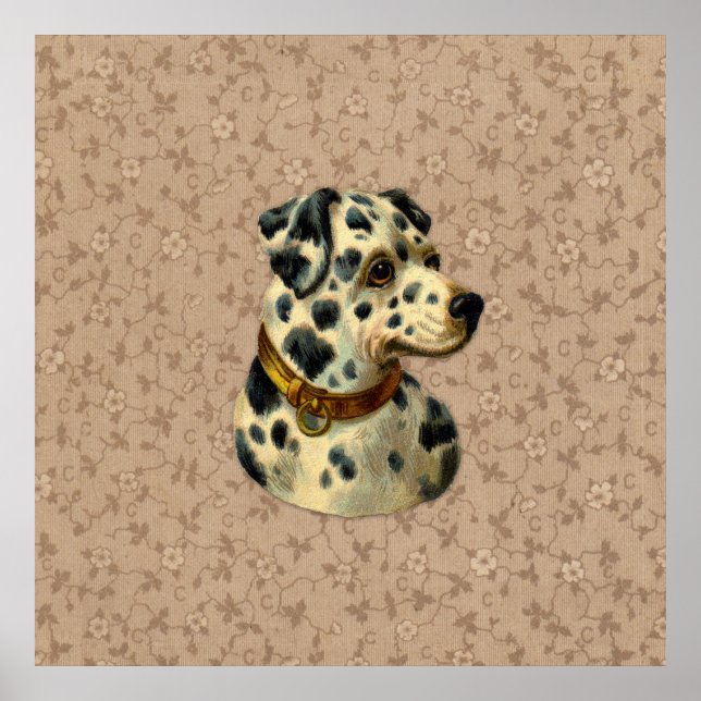 Poster Vintage Dalmation Dog Print (Devant)