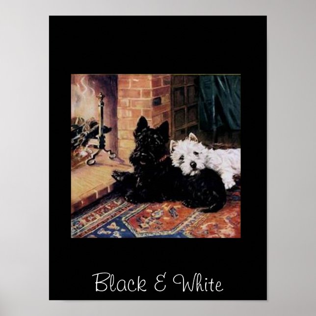 Poster vintage de chiens noirs et blancs (Devant)
