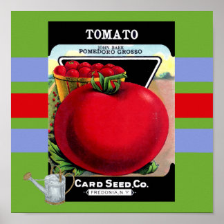 Poster vintage de graines de tomates