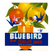Poster vintage de jus d'orange de Bluebird