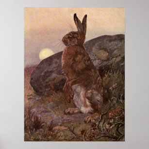 Poster vintage de lièvre lapin