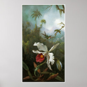 Poster vintage de l'orchidée de Cattleya