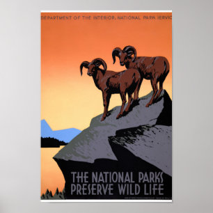 Poster vintage de parcs nationaux des USA