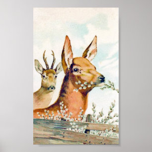Poster vintage Deer