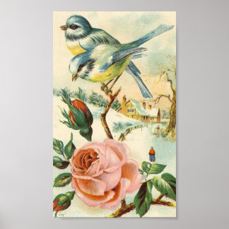 Poster vintage d'oiseaux