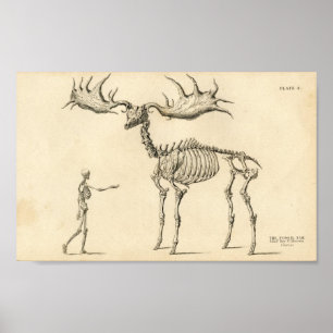 Poster vintage homme et orignal
