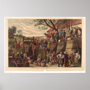 Poster Vintage in California (0604A)