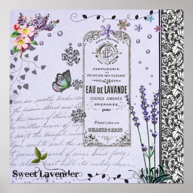 Poster vintage Lavender Collector (Devant)