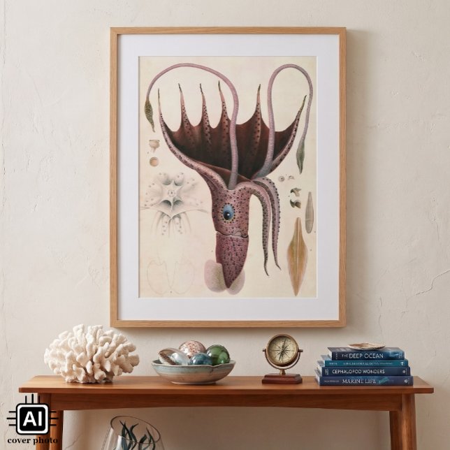 Poster Vintage Marine Life Animals, Umbrella Squid (Vintage illustration marine life animal image featuring an Umbrella Squid by Antoine Chazal.)