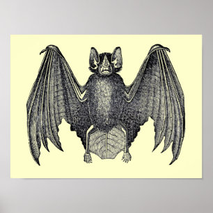 Poster vintage noir et blanc