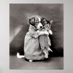 Poster vintage Puppy et Kitten
