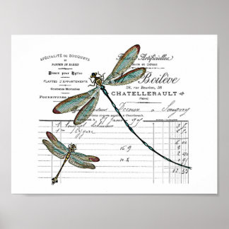 Poster Vintage, Retro Design Frankreich - Libelle, Insekt