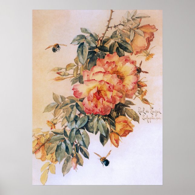 Poster vintage Rose Pale Orange (Devant)