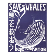 Poster vintage : Save the Whales (1973)