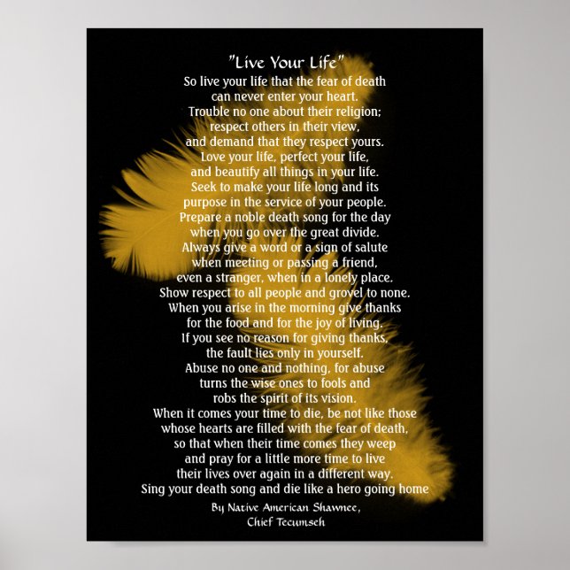 Poster "Vis ta vie" Plumes d'or, chef Tecumseh (Devant)
