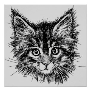 Poster Visage de Kitten noir et blanc sur gris