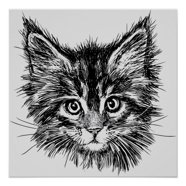Poster Visage de Kitten noir et blanc sur gris (Devant)