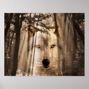 Poster Visage de loup dans les bois