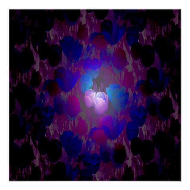 Poster Vision nocturne (Devant)