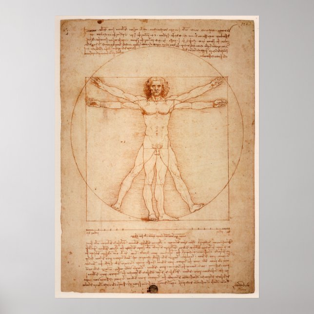 Poster Vitruvian Man de Leonardo da Vinci (Devant)