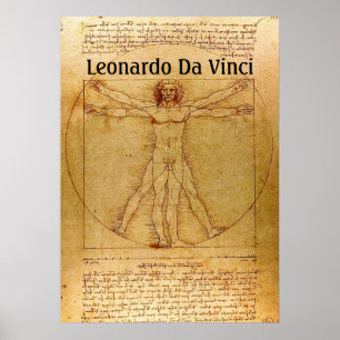 Poster Vitruvian Man-Leonardo Da Vinci