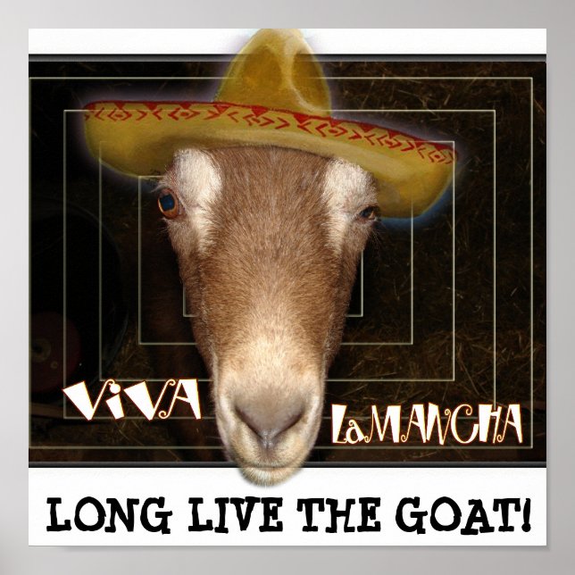 POSTER VIVA LAMANCHA, LONG LIVE THE GOAT! (Devant)