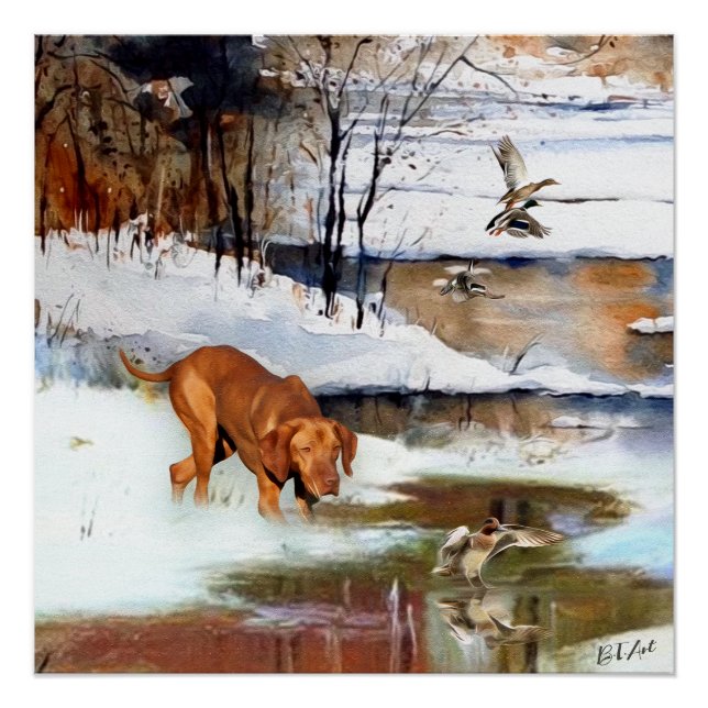 Poster Vizsla hongroise, canards de chasse en hiver (Devant)