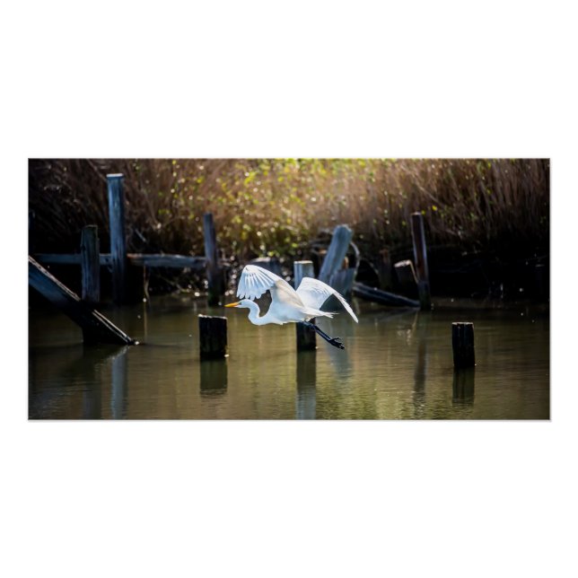 Poster Voler (Devant)