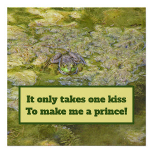 Poster "Votre baiser me transformera en prince"/affiche d