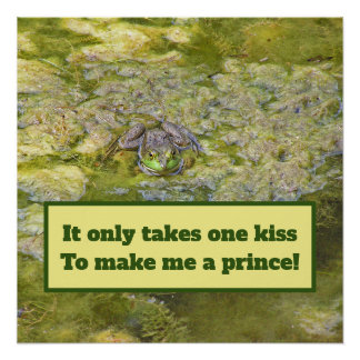 Poster "Votre baiser me transformera en prince"/affiche d