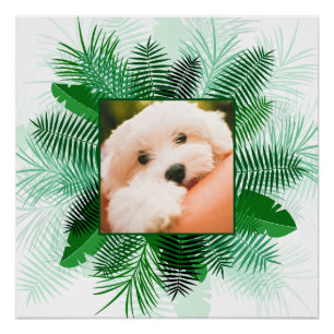 Poster Votre photo dans un cadre en feuille de palme post