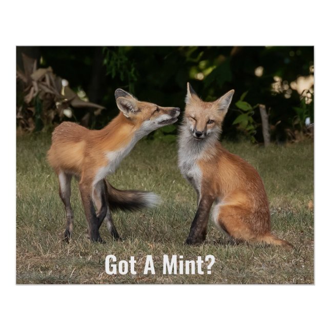 Poster Vous avez des bonbons à la menthe? (Devant)