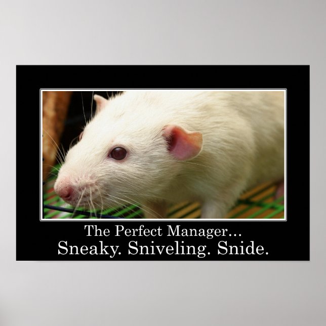 Poster Vous avez toutes les qualités d'un grand manager ( (Devant)