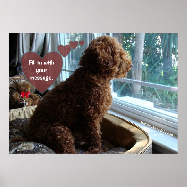 Poster Vous manquez - Personnaliser l'affiche (Devant)