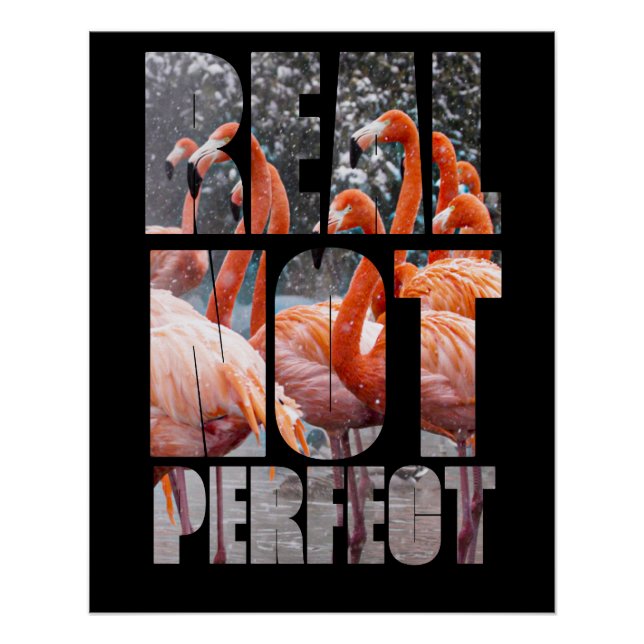 Poster Vraie Citation Pas Parfait Flamant rose Oiseaux tr (Devant)