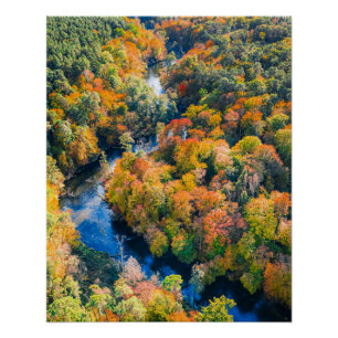 Poster Vue aérienne de la rivière Winny Forêt ensoleillée