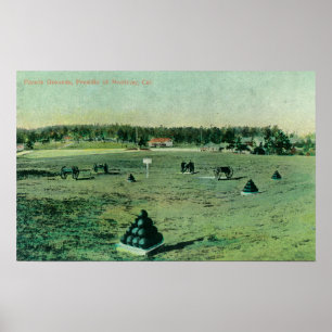 Poster Vue d'au sol de défilé chez le Presidio