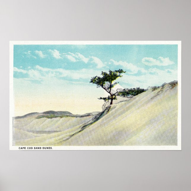 Poster Vue de la Dorothy Bradford Steamer (Devant)