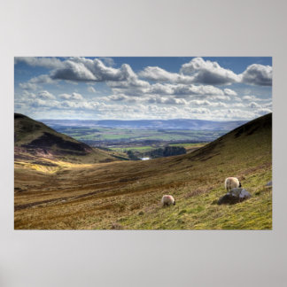 Poster Vue de Pentland Hill à Édimbourg