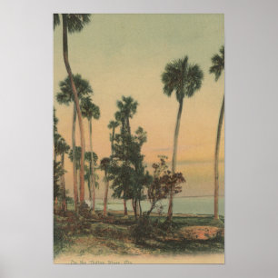 Poster Vue de Shoreline de rivière indienne avec des