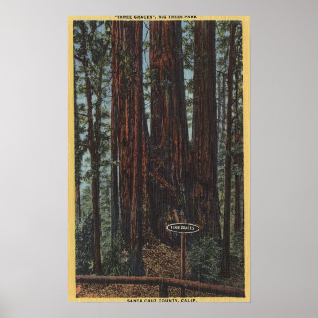 Poster Vue de "Trois Graces" sur Big Trees Park (Devant)