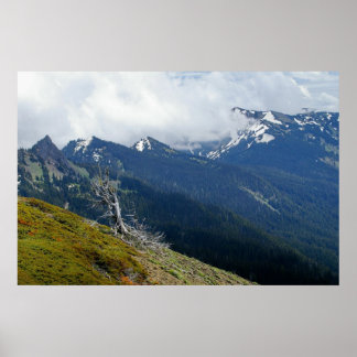 Poster Vue depuis Hurricane Ridge