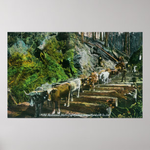 Poster Vue des Boeuf-Équipes transportant des rondins