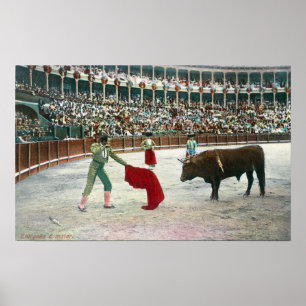 Poster Vue d'un Matador environ pour massacrer le