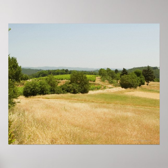 Poster Vue en grand angle d'un champ, Province de Sienne, (Devant)