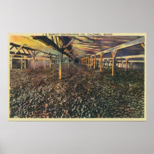 Poster Vue intérieure du JR Simplot déshydratant la Co